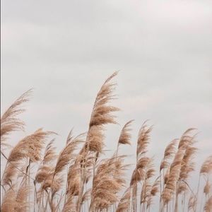 Meet your Posher, Kayleigh